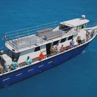 Fishing Charters & Tours
