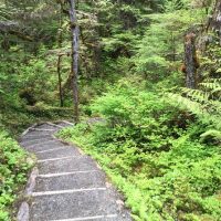 Hiking & Camping