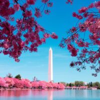 Cultural Tours