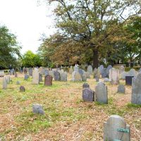 Walking & Biking Tours