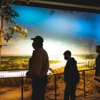 Kid Friendly Tours & Activities