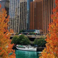 Boat Tours