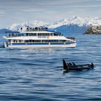 Cruises, Sailing & Water Tours