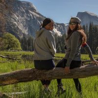 Holiday & Seasonal Tours