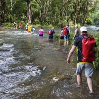 Holiday & Seasonal Tours