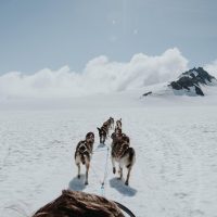 Luxury Tours