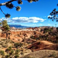 Cultural & Theme Tours