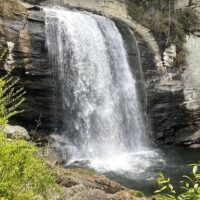 Half-day Tours