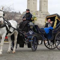 Holiday & Seasonal Tours