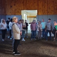 Tours & Sightseeing