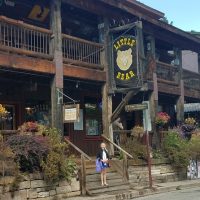 Day Trips & Excursions