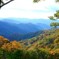 Holiday & Seasonal Tours