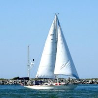 Boat Tours