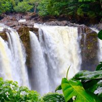 Bus & Minivan Tours