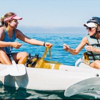 Holiday & Seasonal Tours
