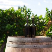 Food, Wine & Nightlife