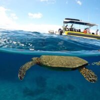 Photography Tours