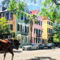 Private & Custom Tours