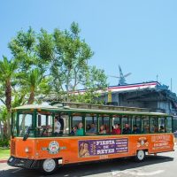 Hop-on Hop-off Tours