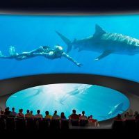 Sightseeing Tickets & Passes