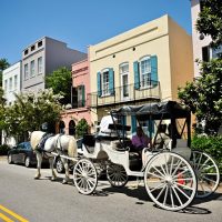 Private Sightseeing Tours