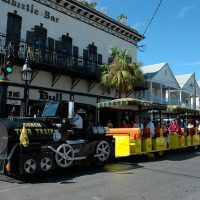 Cultural Tours