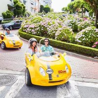 Private & Custom Tours