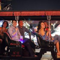 Horse Carriage Rides