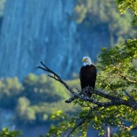 Shore Excursions