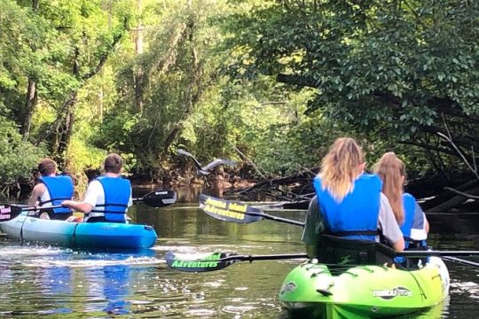 Valentine's Day in Jacksonville