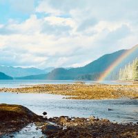 Holiday & Seasonal Tours