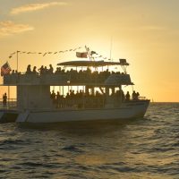 Boat Tours