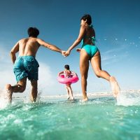 Day Trips & Excursions