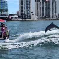 Boat Tours