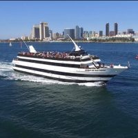 Luxury Tours