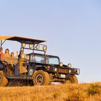 4WD, ATV & Off-Road Tours