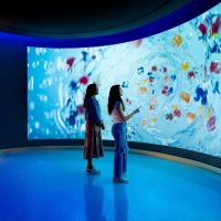 Attraction Tickets