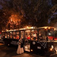 Cultural & Theme Tours