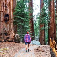Eco Tours