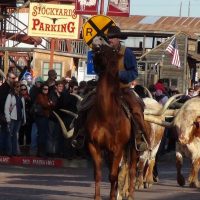 Full-day Tours