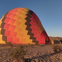 Half-day Tours