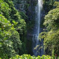 Bus & Minivan Tours