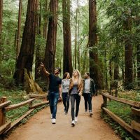 Kid Friendly Tours & Activities
