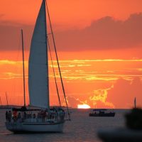 Day Cruises