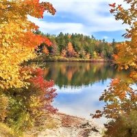 Bus & Minivan Tours