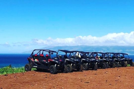 President's Day in Maui