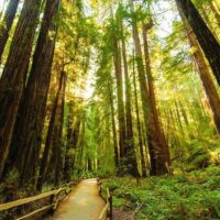 Day Trips & Excursions