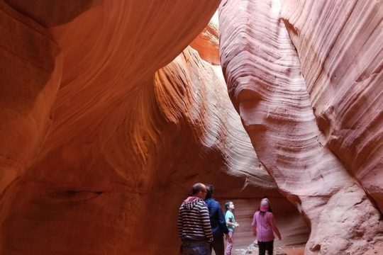 President's Day in Zion National Park