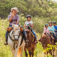 Horseback Riding