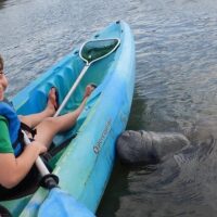 Kayaking & Canoeing